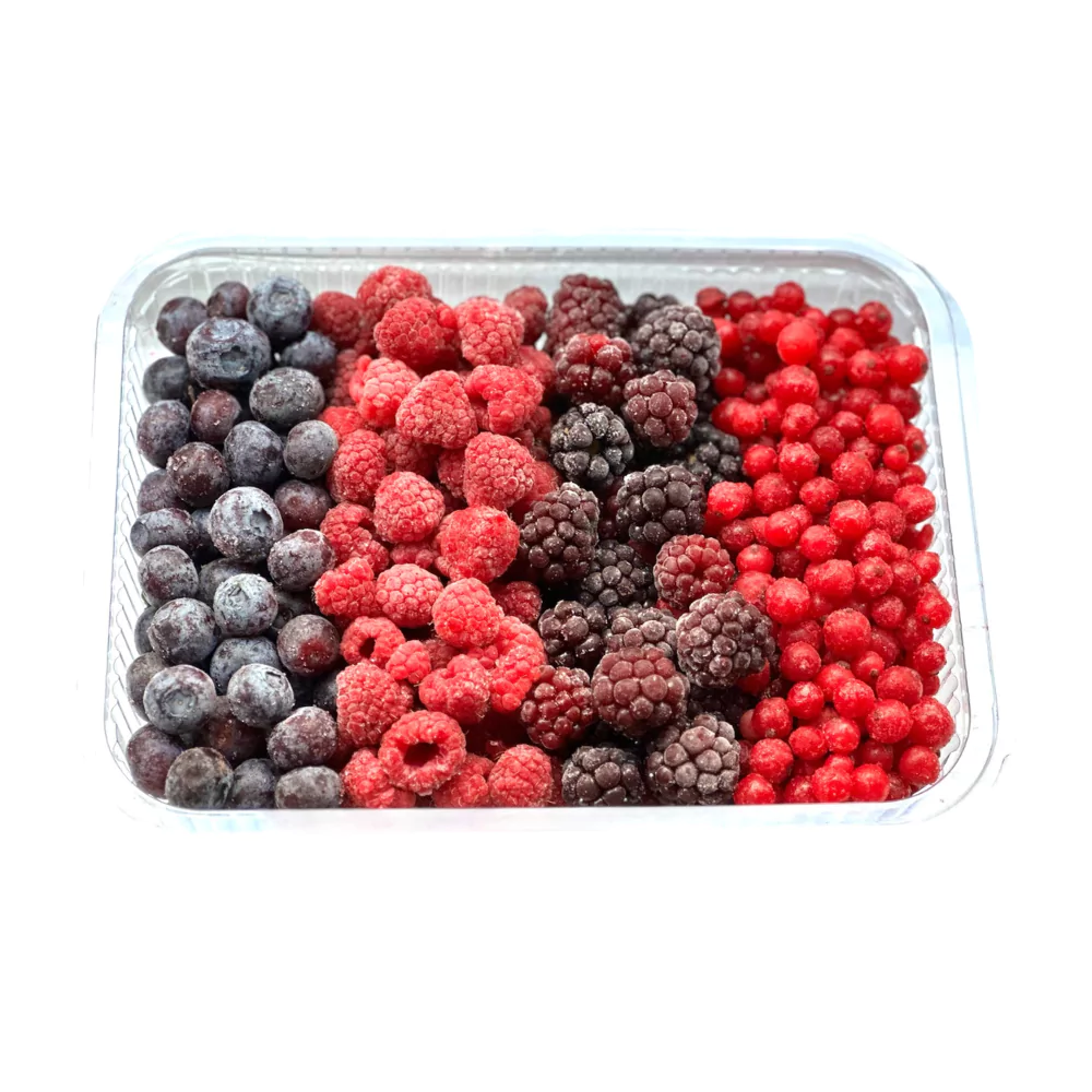 Süperfresh Orman Meyveleri 300g